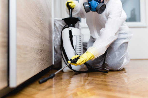 Best Rat Extermination Near Me  in Philipsburg, PA