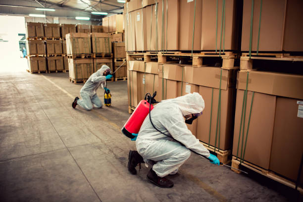 Best Bed Bug Extermination  in Philipsburg, PA