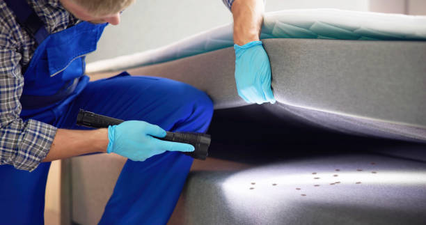 Best Affordable Exterminators  in Philipsburg, PA