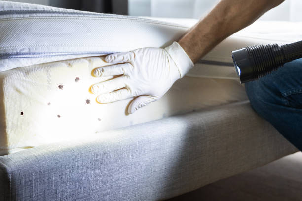 Best Pest Removal Services  in Philipsburg, PA