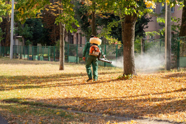 Pest Prevention Services in Philipsburg, PA