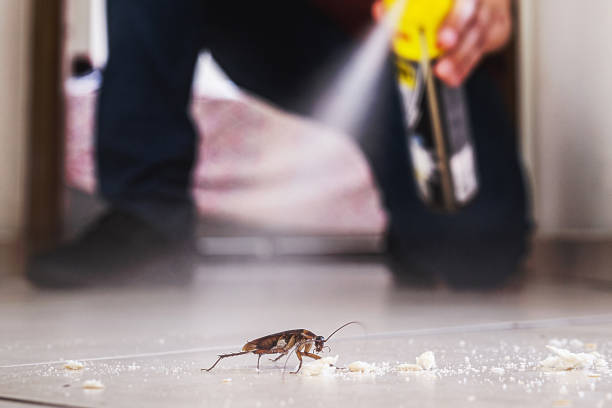 Best Insect Control  in Philipsburg, PA