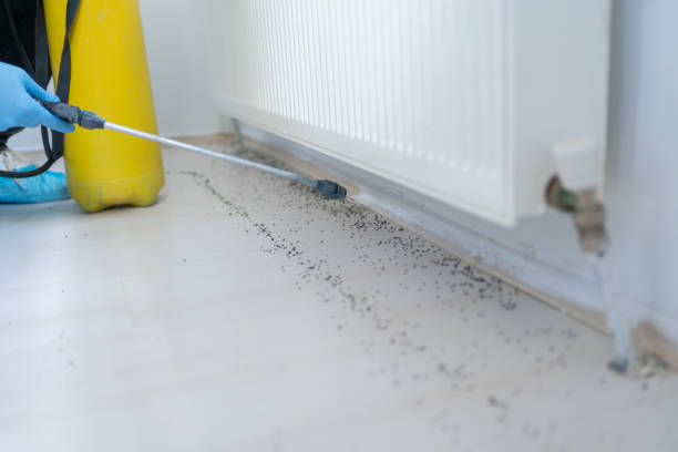 Best Insect Control  in Philipsburg, PA