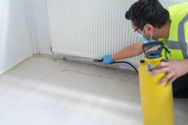 Best Best Pest Control Companies  in Philipsburg, PA