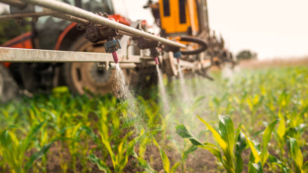 Best Commercial Pest Control Services  in Philipsburg, PA